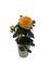 Tiny Blooms Big Love Yellow Mini Rose -2.5" Self Watering Pot